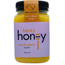 HANTZ Blackcurrant blossom Honey